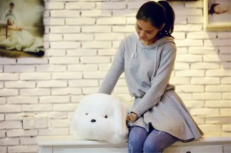 1pc 50cm luminous dog plush doll colorful LED glowing dogs children toys for girl kidz birthday gift free shipping WJ445 8