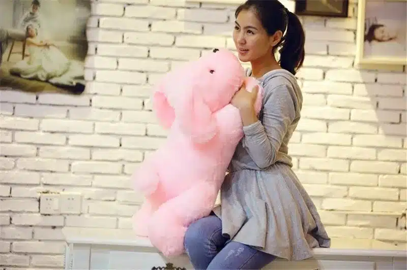 1pc 50cm luminous dog plush doll colorful LED glowing dogs children toys for girl kidz birthday gift free shipping WJ445 14