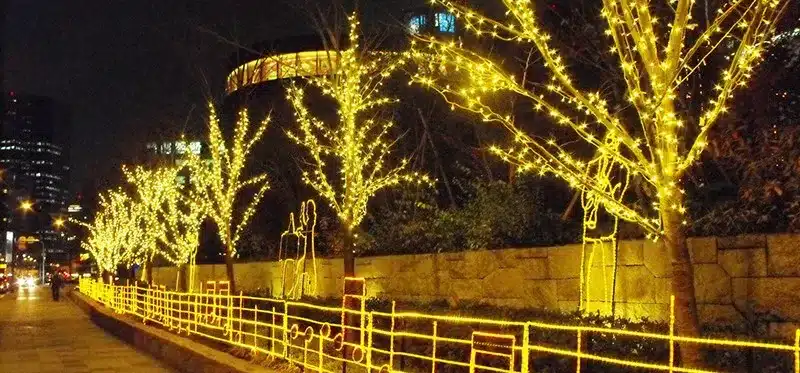20M strip rgb 220V led string light for tree colorful waterproof holiday led lighting Christmas/Wedding/Party Decoration Lights 21