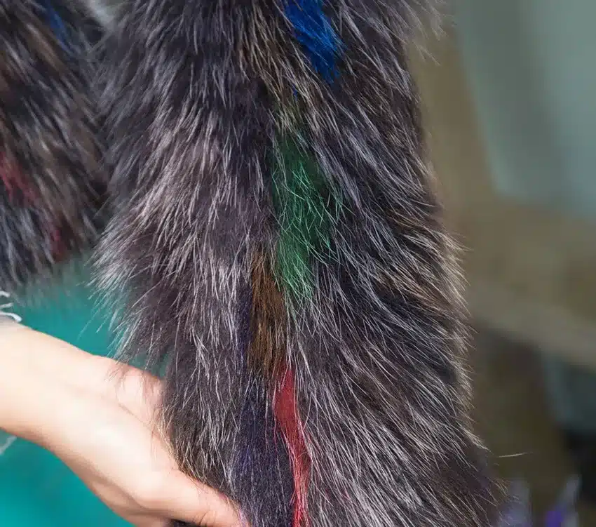 New Arrival Women Winter Scarves Multicolor Real Silver Fox Fur Long Scarf New Style Natural Fox Fur Wraps Winter YH115 14