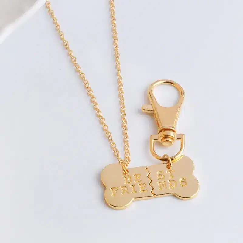 QIHE JEWELRY 2pcs/set Gold Silver Color Dog Bone Best Friends Charm Necklace & Keychain Handstamped BFF Bones Friendship Jewelry 20