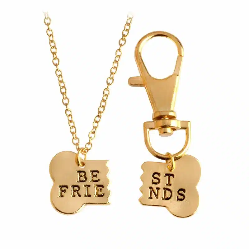 QIHE JEWELRY 2pcs/set Gold Silver Color Dog Bone Best Friends Charm Necklace & Keychain Handstamped BFF Bones Friendship Jewelry 27