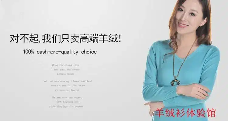 11.11 new sweater women's jacket cashmere sweater V-neck long-sleeved sweater warm autumn and winter clothing 9