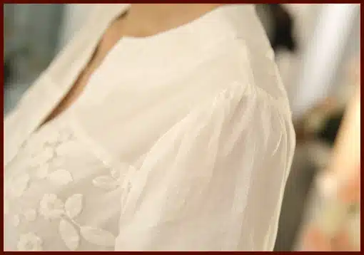 New V-neck Organza Embroidered Shirt White Lace Blouse Top Plus Size Summer Korean Women Blouse Flower Print Blouse 566F 25 34