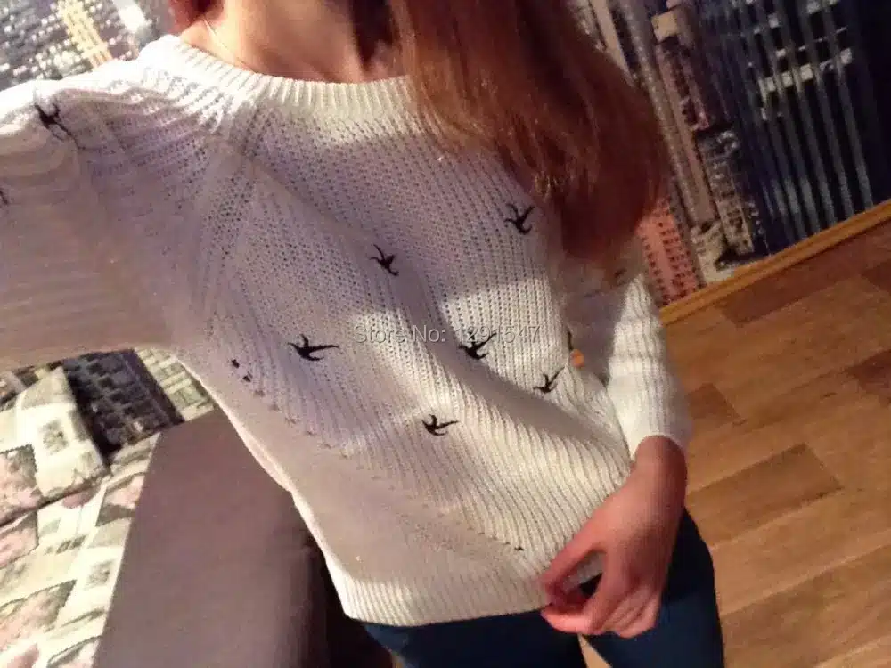 2017 New Arrivals Spring Autumn Fashion women Sweater High quality Casual Sweaters Women Jumper Pullovers Loose Femininas Blusas 11