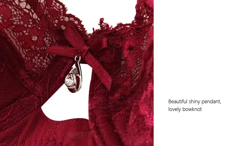 Burvogue New Lace Lingerie Bra Set Women Sexy Bra Set Push Up Bras Underwear Sets Plus size Adjustable Bras and Panties Set 24