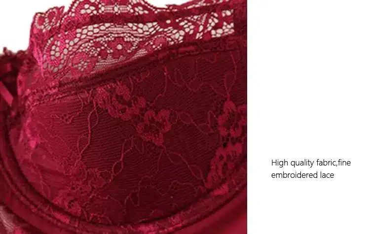 Burvogue New Lace Lingerie Bra Set Women Sexy Bra Set Push Up Bras Underwear Sets Plus size Adjustable Bras and Panties Set 25