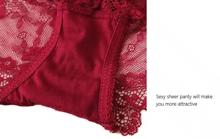 Burvogue New Lace Lingerie Bra Set Women Sexy Bra Set Push Up Bras Underwear Sets Plus size Adjustable Bras and Panties Set 28