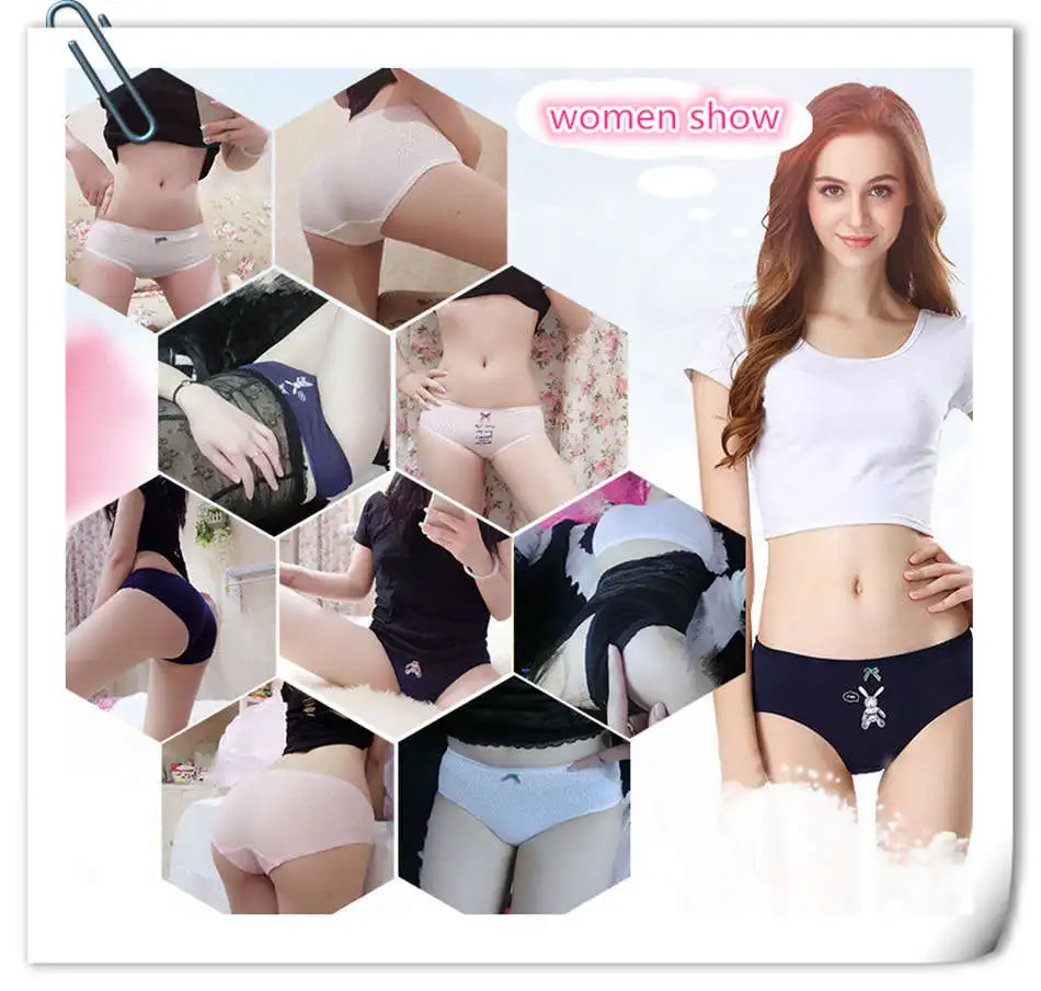 SKYHERO 4pieces/lot 2017 Underwear women panties cotton panty sexy crotchless calzoncillos lace women's short brand briefs srj 22