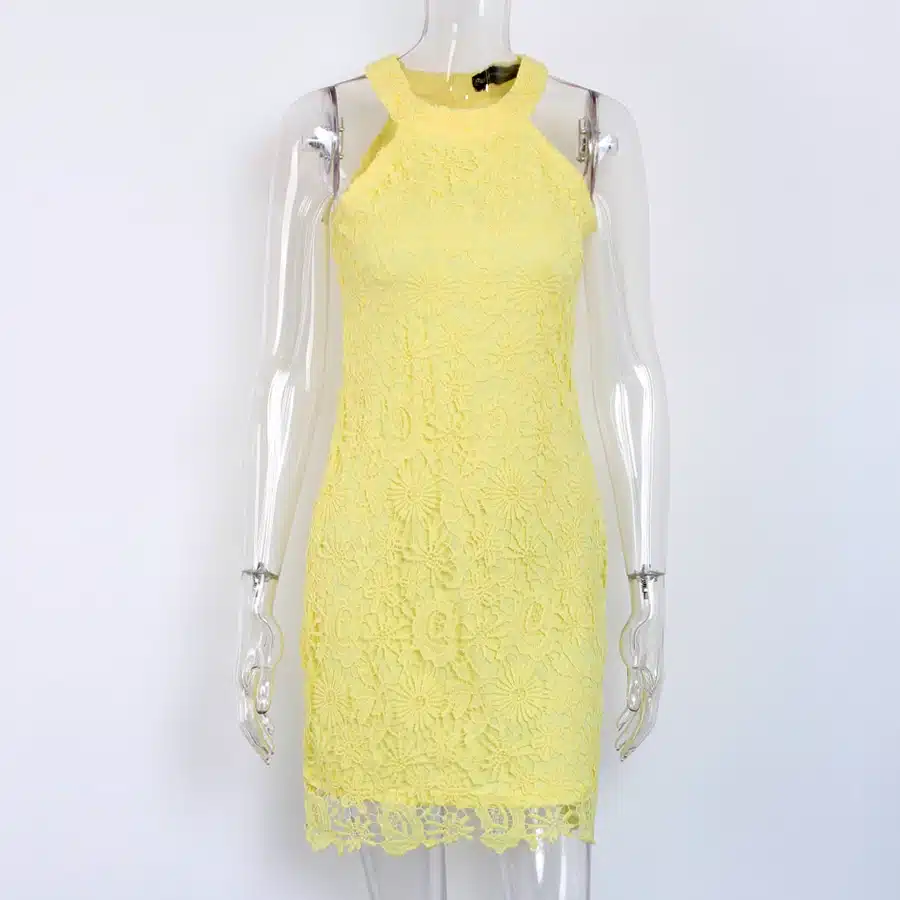 DeRuiLaDy Women Casual Dress Elegant Wedding Party Sexy Night Club Halter Neck Sleeveless Sheath Bodycon Lace Mini Dress vestido 19