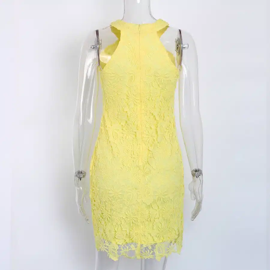 DeRuiLaDy Women Casual Dress Elegant Wedding Party Sexy Night Club Halter Neck Sleeveless Sheath Bodycon Lace Mini Dress vestido 21