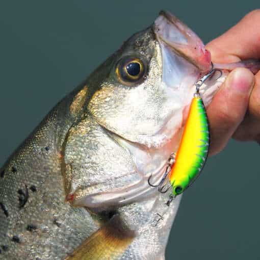 Banshee kahe konksuga landid, 65mm, 9.3g, hõljuv wobbler, kunstpeibutis, forelli ja ahvena püügiks, pinnalähedane sukeldumine, crank minnow tüüpi.