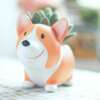Lillepott corgi koeraga