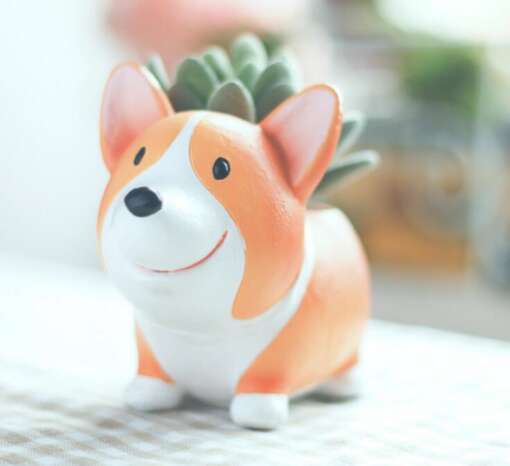Lillepott corgi koeraga