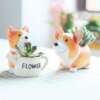 Lillepott corgi koeraga