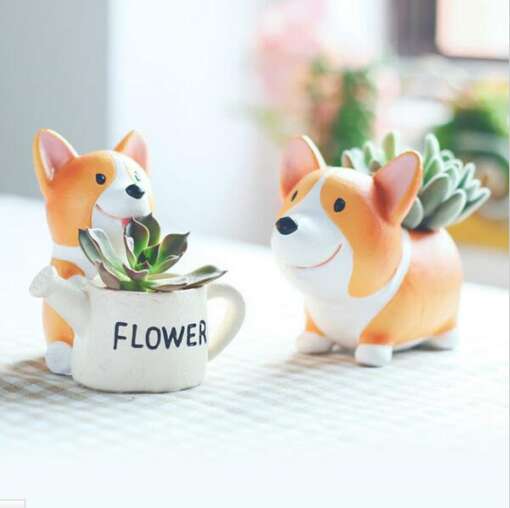 Lillepott corgi koeraga