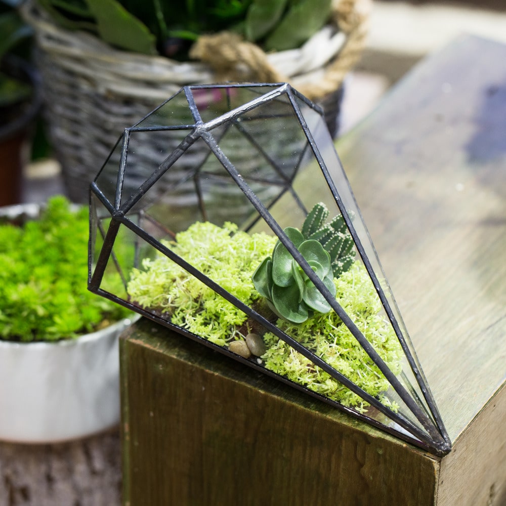 Teemantikujuline terrarium istutamiseks