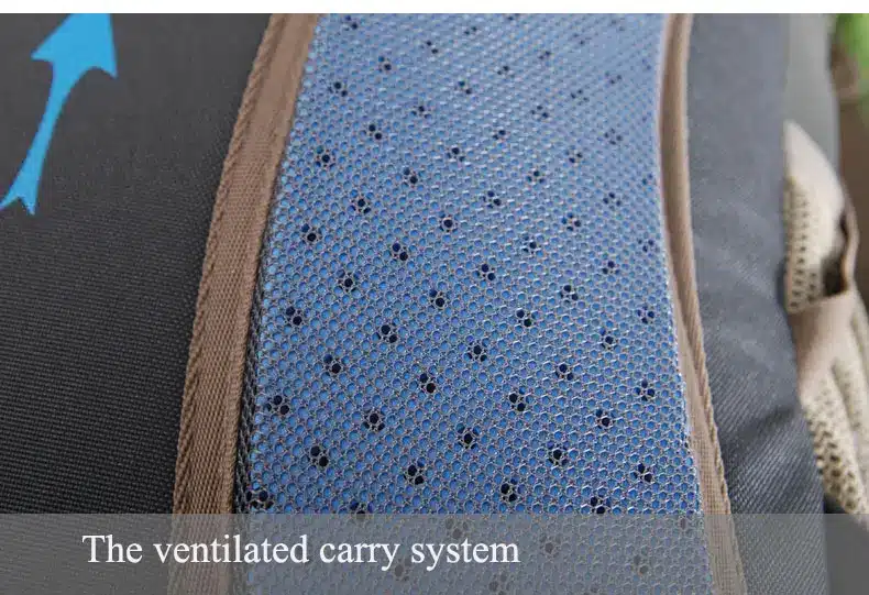 seljakoti sinine ja pruun ventilatsiooniga seljaosa