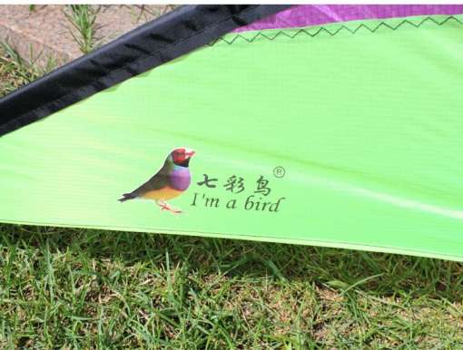 roheline tuulelohe, millel on linnu pilt ja kiri 'I'm a bird'