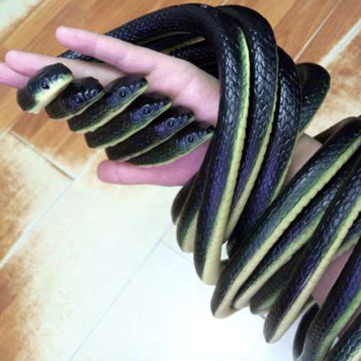 kollase kõhualusega must kummimadu, mis on keeratud ümber käe