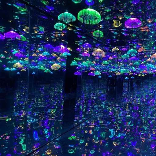 värvilised meduusikujulised LED valgustid peegelduvad mitmekordselt peegelseintel