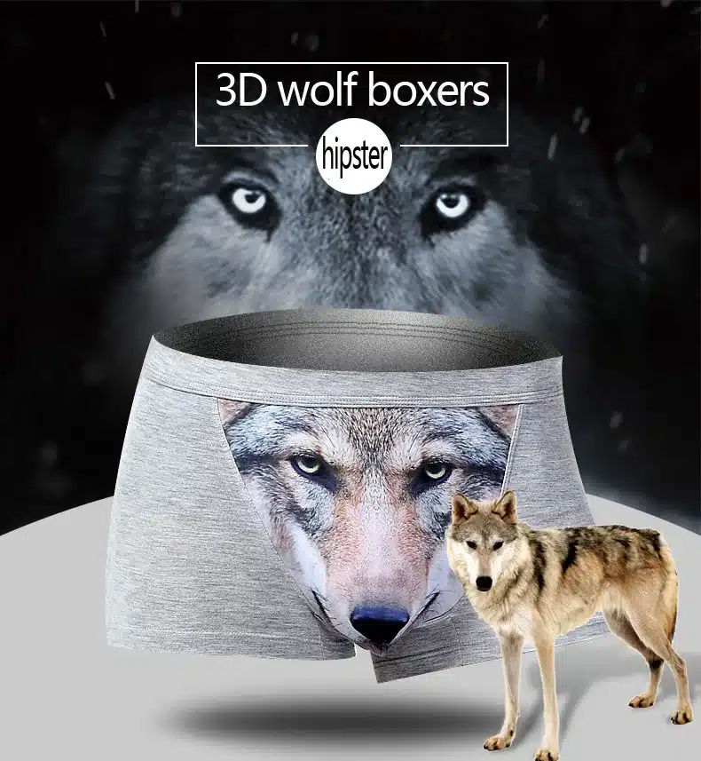 hallid bokserid hundi pildiga esiküljel