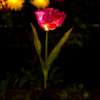 Erinevate lilledega LED aiavalgustid | E-pood Tootemaailm Erinevate lilledega LED aiavalgustid