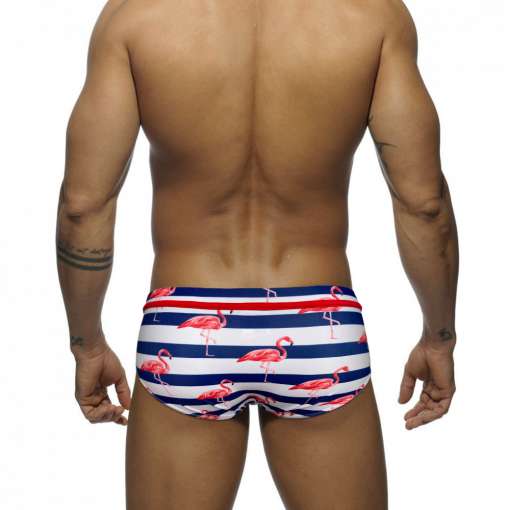 Sexy-Mens-Swimwear-Summer-New-Fashion-Swim-Briefs-Low-Waist-Bathing-Suit-Bulge-Pad-Push-Underwear-3 – saadaval Tootemaailm e-kaubamajas