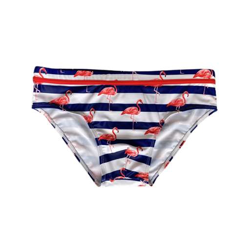 Sexy-Mens-Swimwear-Summer-New-Fashion-Swim-Briefs-Low-Waist-Bathing-Suit-Bulge-Pad-Push-Underwear-4 – saadaval Tootemaailm e-kaubamajas