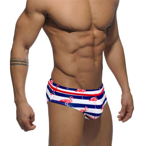 Sexy-Mens-Swimwear-Summer-New-Fashion-Swim-Briefs-Low-Waist-Bathing-Suit-Bulge-Pad-Push-Underwear-1 – saadaval Tootemaailm e-kaubamajas
