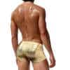 New-Mens-Nylon-Swimming-Trunks-Sexy-Shining-Bathing-Suit-Sponge-Cup-Push-Up-Swimwear-Fashion-Male-3 – saadaval Tootemaailm e-kaubamajas