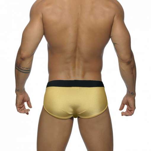 Summer-Mens-Sponge-Cup-Swimwear-Sexy-Low-Waist-Bathing-Suit-Nylon-Push-Up-Swim-Briefs-Fashion-1 – saadaval Tootemaailm e-kaubamajas