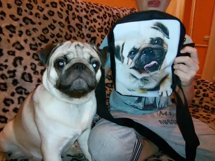 FORUDESIGNS Canvas Women Messenger Bags Puppy Pug Dog Printing Black Pug Ladies Bolsos Mujer Cross Body Small Shoulder bag 2017 19