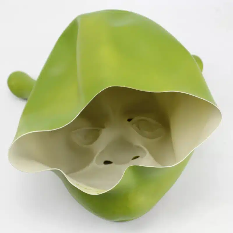 Vinge mask Shrek | kujundav pilt e-kaubamaja pildikogust