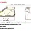 E-kaubamaja tootepilt – saadaval Tootemaailm e-kaubamajas