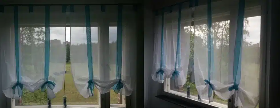 valged poolkardinad siniste lipsudega aknal