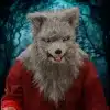 Karvased loomade maskid