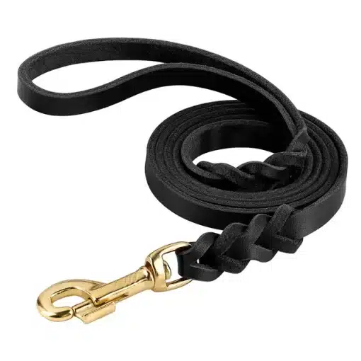 Mustad ja pruunid jalutus- ning kaelarihmad | E-pood Tootemaailm Mustad ja pruunid jalutus- ning kaelarihmad