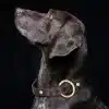 Genuine-Leather-Dog-Collar-Leash-Set-Braided-Durable-Leather-Dog-Collars-For-Medium-Large-Dogs-German-4 – saadaval Tootemaailm e-kaubamajas