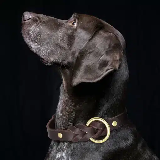 Genuine-Leather-Dog-Collar-Leash-Set-Braided-Durable-Leather-Dog-Collars-For-Medium-Large-Dogs-German-4 – saadaval Tootemaailm e-kaubamajas