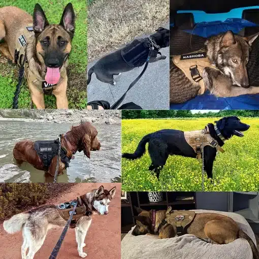 Large-Dog-Harness-and-Leash-Set-Pet-German-Shepherd-Malinois-Training-Walking-Vest-Collar-for-All-5 – saadaval Tootemaailm e-kaubamajas