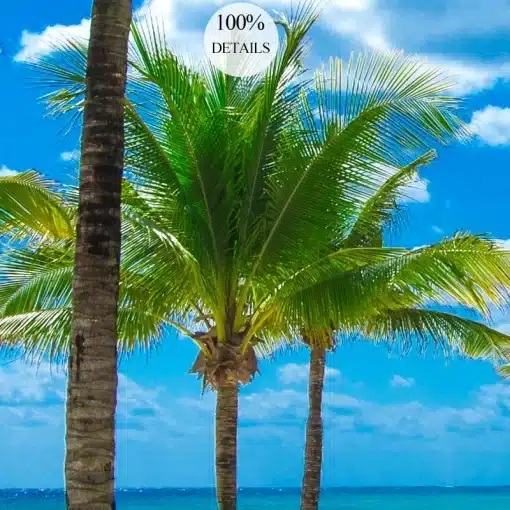Custom-3D-Photo-Wallpaper-Seaside-Coconut-Tree-Beach-Scenery-Wall-Mural-Wall-Paper-For-Living-Room-5 – saadaval Tootemaailm e-kaubamajas