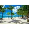 Custom-3D-Photo-Wallpaper-Seaside-Coconut-Tree-Beach-Scenery-Wall-Mural-Wall-Paper-For-Living-Room-4 – saadaval Tootemaailm e-kaubamajas