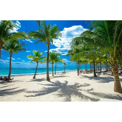 Custom-3D-Photo-Wallpaper-Seaside-Coconut-Tree-Beach-Scenery-Wall-Mural-Wall-Paper-For-Living-Room-4 – saadaval Tootemaailm e-kaubamajas