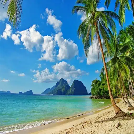 Custom-3D-Wallpaper-Murals-Blue-Sky-White-Clouds-Sea-Island-Beach-Coconut-Tree-Landscape-Photo-Mural-4 – saadaval Tootemaailm e-kaubamajas