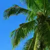 Custom-3D-Photo-Wallpaper-Seascape-Beach-Palm-Wall-Covering-Mural-Roll-For-Living-Room-Bedroom-Background-4 – saadaval Tootemaailm e-kaubamajas