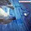 Custom-Photo-Dolphin-3D-Flooring-Sticker-Mural-Wallpaper-Bathroom-Living-Room-PVC-Self-Adhesive-Waterproof-Floor-5 – saadaval Tootemaailm e-kaubamajas