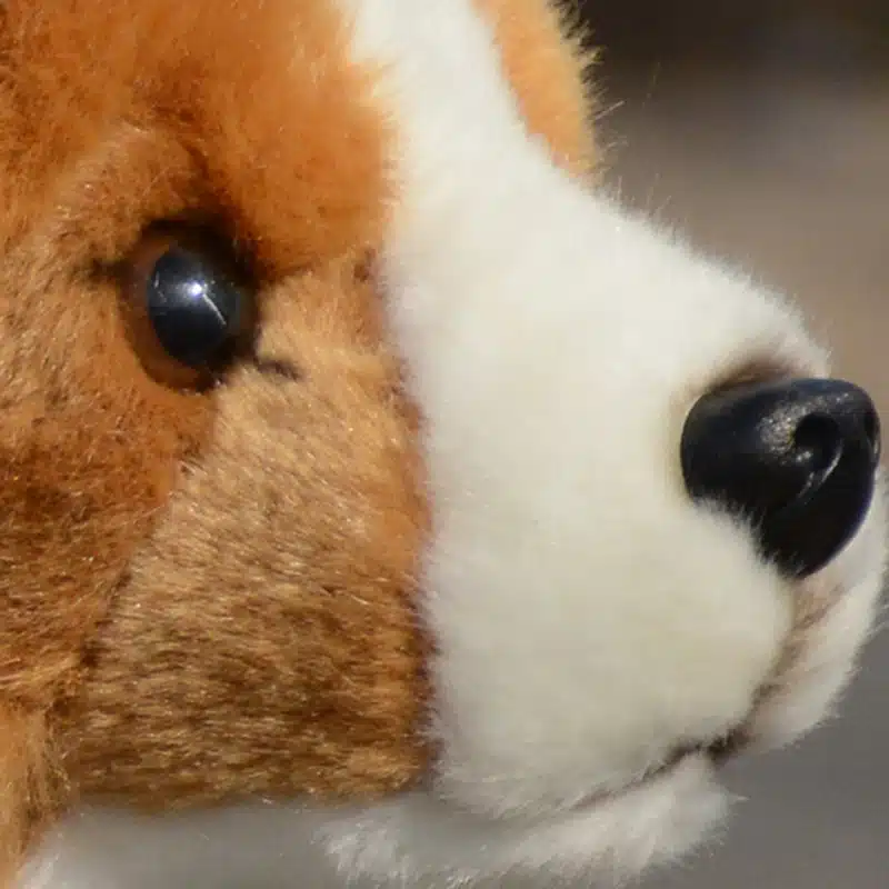 pehme mänguloom, mis kujutab realistlikult welsh corgi koera