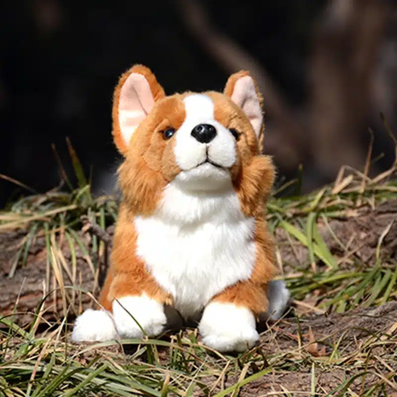 pehme pruun-valge corgi mänguloom istub rohul